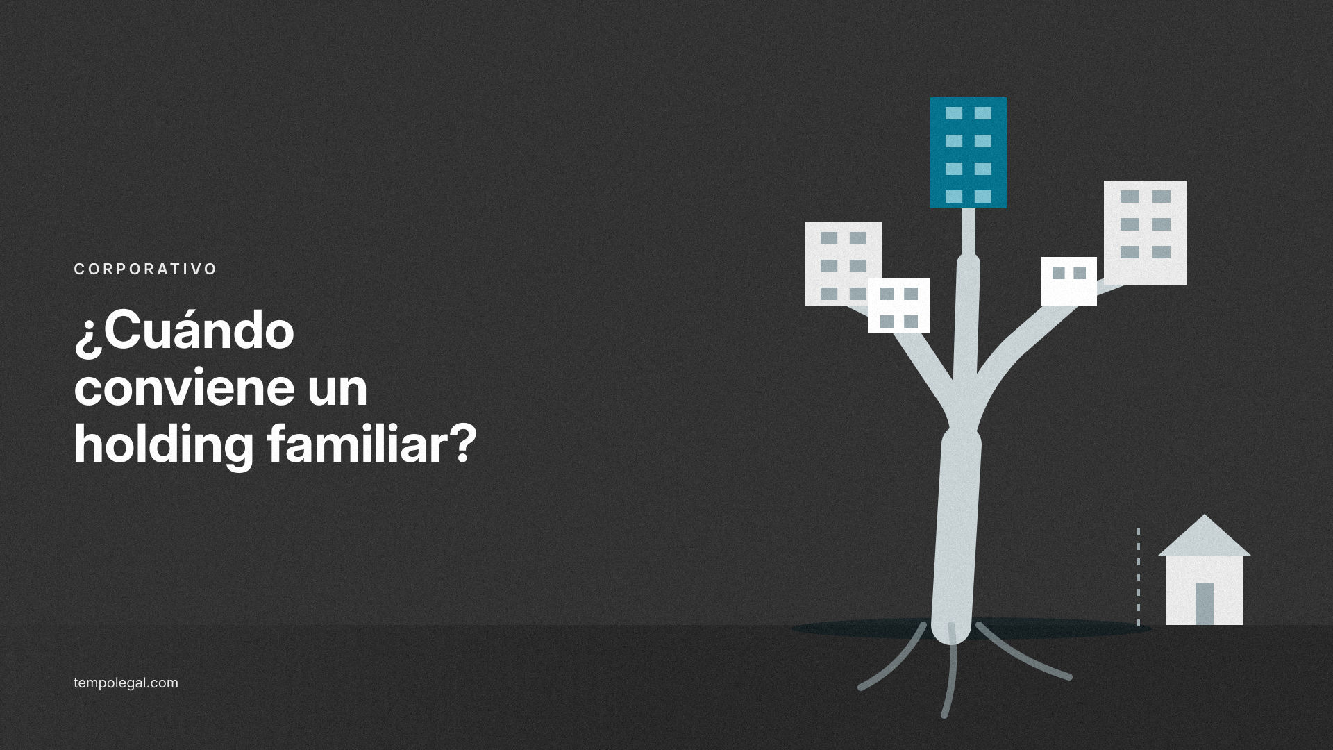 ¿Cuándo conviene crear un holding familiar en Ecuador?